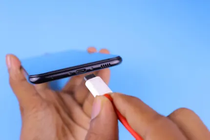 Casino Mobile Wins App Mobile